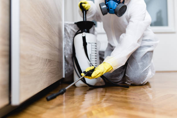 Best Mosquito Control Services  in Harwood Heights, IL