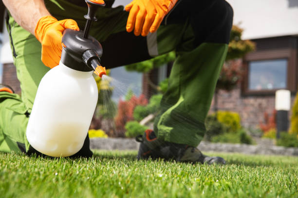 Best Cockroach Control Services  in Harwood Heights, IL