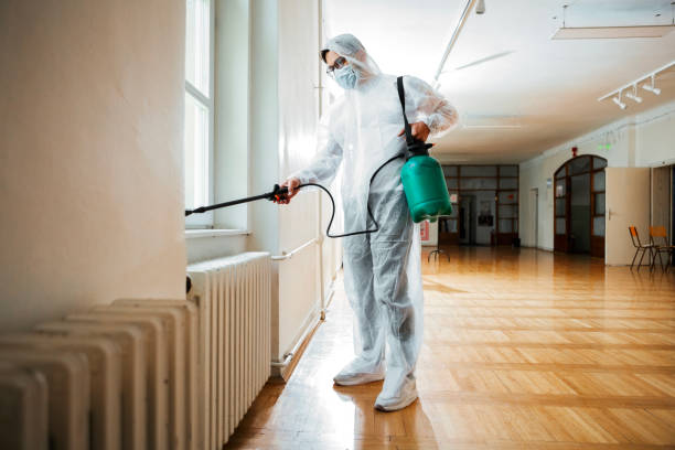 Best Affordable Pest Control Services  in Harwood Heights, IL