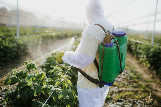 Best Best Pest Control Companies  in Harwood Heights, IL